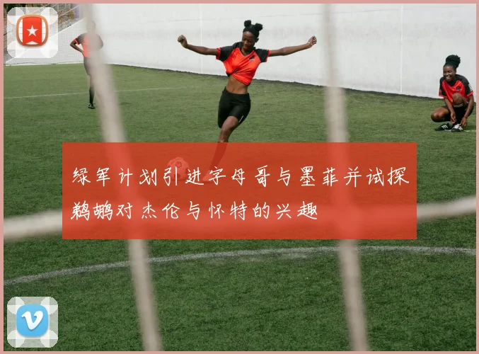 绿军计划引进字母哥与墨菲并试探鹈鹕对杰伦与怀特的兴趣