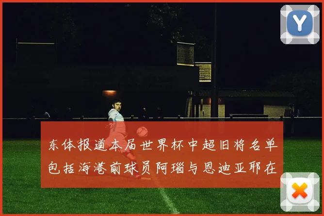 东体报道本届世界杯中超旧将名单包括海港前球员阿瑙与恩迪亚耶在内的10位球员